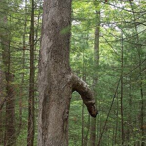 Meet your Posher, Wendy